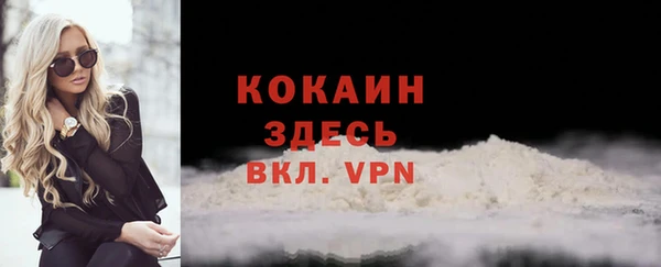 соль ск Горнозаводск