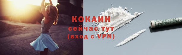 соль ск Горнозаводск