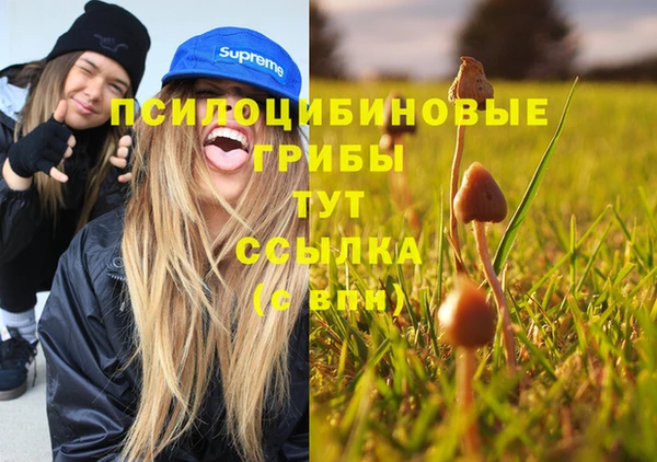 меф Горно-Алтайск
