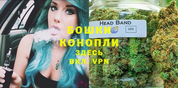 прущие крисы Гусь-Хрустальный