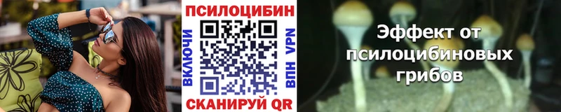 Купить  Клинцы  Галлюциногенные грибы мицелий 