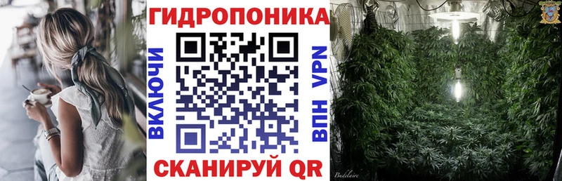 Купить закладки  Клинцы  Бошки марихуана OG Kush 